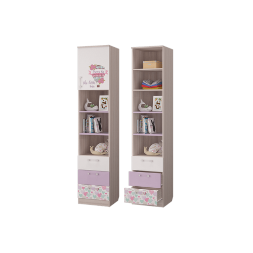 Шкаф для книг с ящиками и дверкой Адель