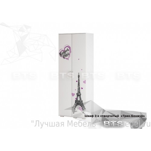 Шкаф двухдверный для одежды Трио ШК-09 Бонжур/Белый BTS